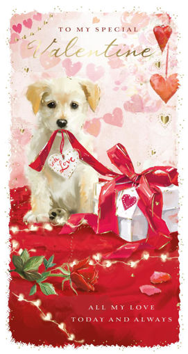 Picture of TO MY SPECIAL VALENTINE CARD